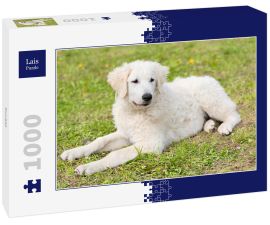 Lais Puzzle - Kuvasz - 1.000 Teile