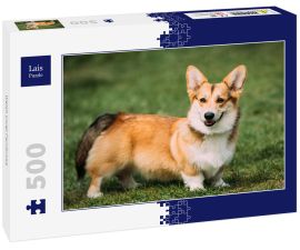 Lais Puzzle - Welsh Corgi Pembroke - 500 Teile