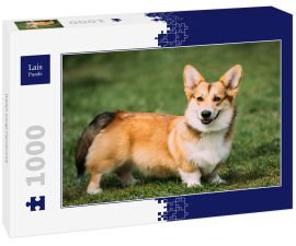 Lais Puzzle - Welsh Corgi Pembroke - 1.000 Teile