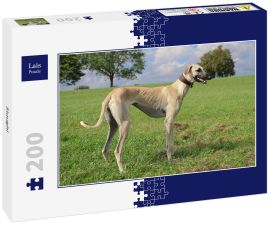 Lais Puzzle - Sloughi - 200 Teile
