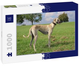 Lais Puzzle - Sloughi - 1.000 Teile