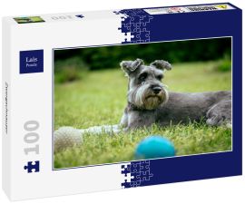Lais Puzzle - Zwergschnauzer - 100 Teile