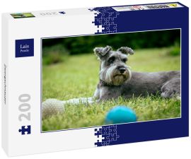 Lais Puzzle - Zwergschnauzer - 200 Teile