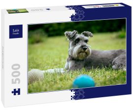 Lais Puzzle - Zwergschnauzer - 500 Teile