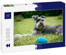 Lais Puzzle - Zwergschnauzer - 1.000 Teile
