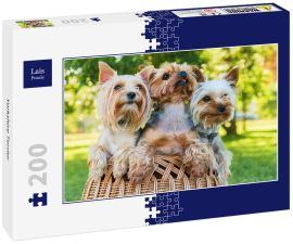 Lais Puzzle - Yorkshire Terrier - 200 Teile