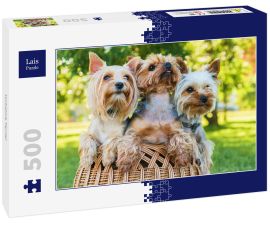 Lais Puzzle - Yorkshire Terrier - 500 Teile