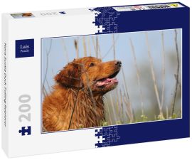 Lais Puzzle - Nova Scotia Duck Tolling Retriever - 200 Teile