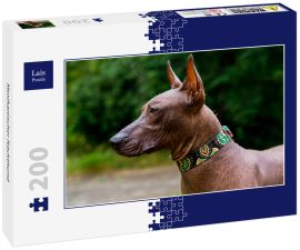 Lais Puzzle - Mexikanischer Nackthund - 200 Teile