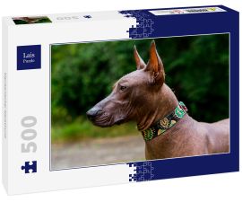 Lais Puzzle - Mexikanischer Nackthund - 500 Teile