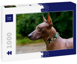 Lais Puzzle - Mexikanischer Nackthund - 1.000 Teile