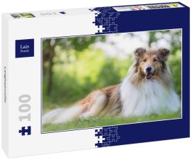 Lais Puzzle - Langhaarcollie - 100 Teile