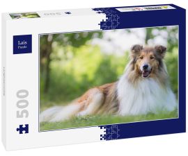 Lais Puzzle - Langhaarcollie - 500 Teile