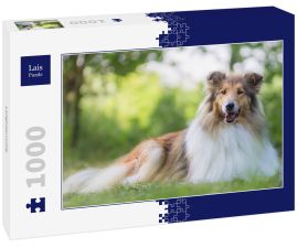 Lais Puzzle - Langhaarcollie - 1.000 Teile