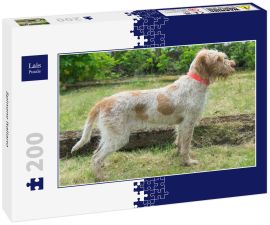 Lais Puzzle - Spinone Italiano - 200 Teile