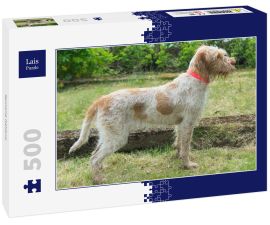 Lais Puzzle - Spinone Italiano - 500 Teile