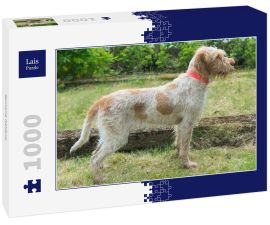 Lais Puzzle - Spinone Italiano - 1.000 Teile