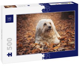 Lais Puzzle - Tibet Terrier - 500 Teile