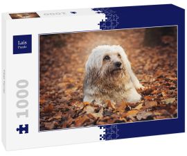 Lais Puzzle - Tibet Terrier - 1.000 Teile