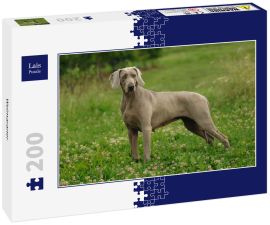 Lais Puzzle - Weimaraner - 200 Teile