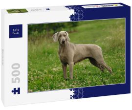 Lais Puzzle - Weimaraner - 500 Teile