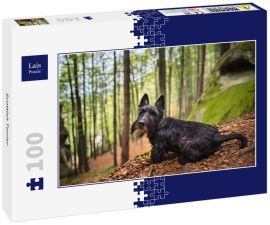 Lais Puzzle - Scottish Terrier - 100 Teile
