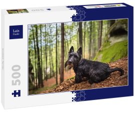 Lais Puzzle - Scottish Terrier - 500 Teile