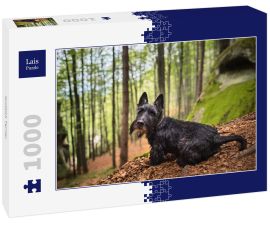 Lais Puzzle - Scottish Terrier - 1.000 Teile