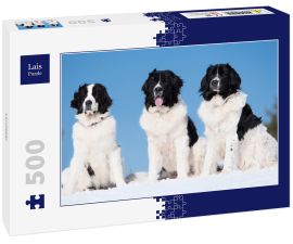 Lais Puzzle - Landseer - 500 Teile
