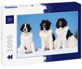 Lais Puzzle - Landseer - 1.000 Teile