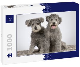Lais Puzzle - Pumi - 1.000 Teile