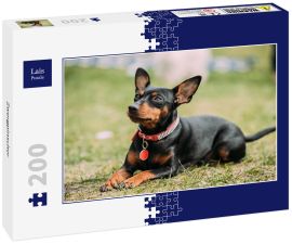 Lais Puzzle - Zwergpinscher - 200 Teile