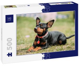 Lais Puzzle - Zwergpinscher - 500 Teile