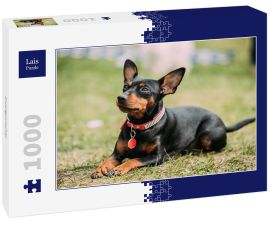 Lais Puzzle - Zwergpinscher - 1.000 Teile