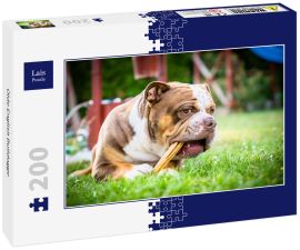 Lais Puzzle - Olde English Bulldogge - 200 Teile