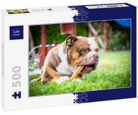 Lais Puzzle - Olde English Bulldogge - 500 Teile