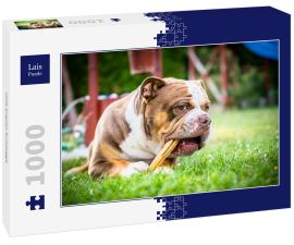 Lais Puzzle - Olde English Bulldogge - 1.000 Teile
