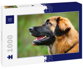 Lais Puzzle - Leonberger - 1.000 Teile