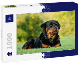 Lais Puzzle - Rottweiler - 1.000 Teile