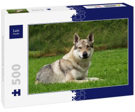 Lais Puzzle - Tschechoslowakischer Wolfhund - 500 Teile
