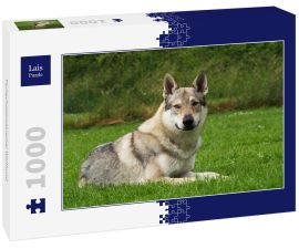 Lais Puzzle - Tschechoslowakischer Wolfhund - 1.000 Teile