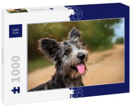 Lais Puzzle - Skye Terrier - 1.000 Teile