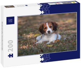 Lais Puzzle - Nederlandse Kooikerhondje - 200 Teile