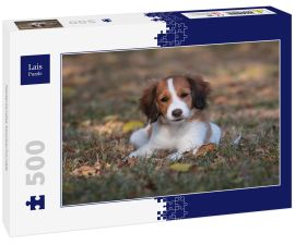 Lais Puzzle - Nederlandse Kooikerhondje - 500 Teile