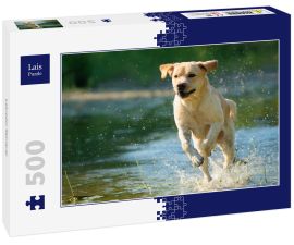 Lais Puzzle - Labrador Retriever - 500 Teile