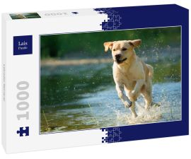 Lais Puzzle - Labrador Retriever - 1.000 Teile