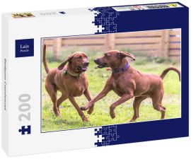 Lais Puzzle - Redbone Coonhound - 200 Teile