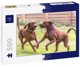 Lais Puzzle - Redbone Coonhound - 500 Teile