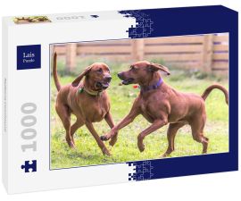 Lais Puzzle - Redbone Coonhound - 1.000 Teile
