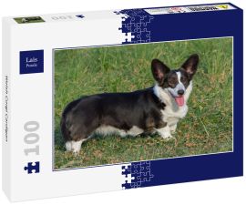 Lais Puzzle - Welsh Corgi Cardigan - 100 Teile
